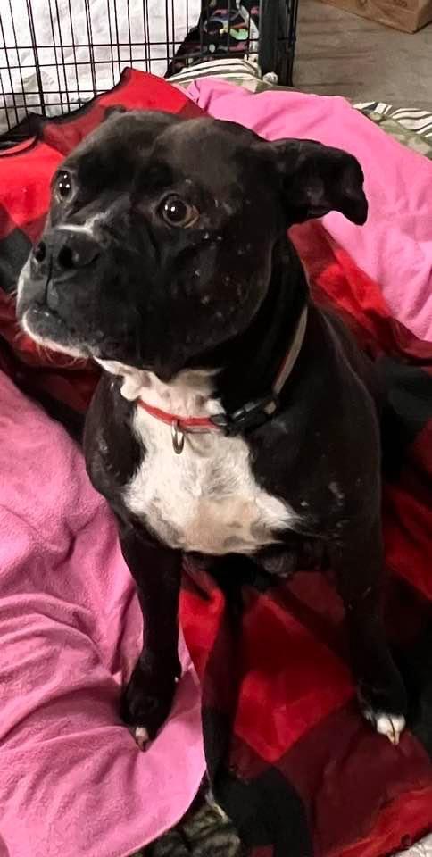 Gloria — thumbnail 3