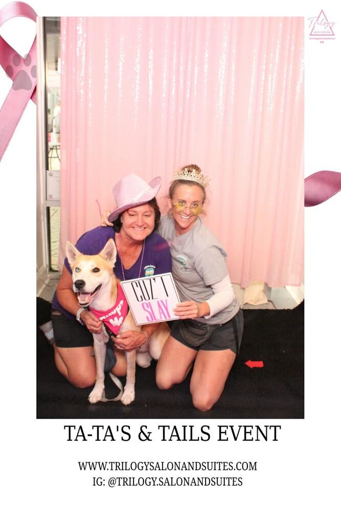 Quinn, Adoptable, Adult Female Husky & Shepherd.