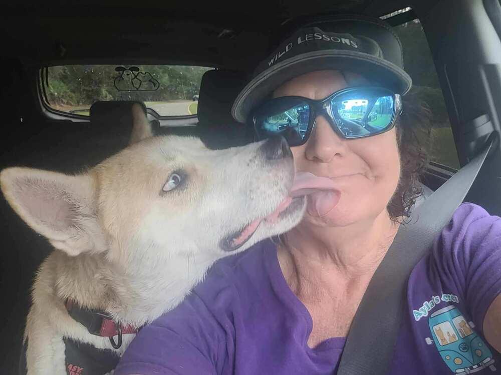 Quinn, a Adoptable mixed breed in Saint Augustine, FL image 5/6