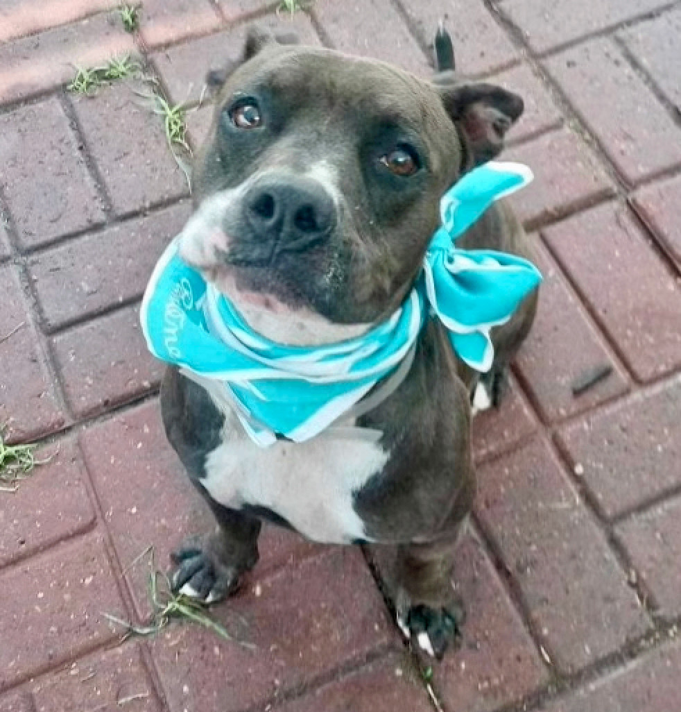 Luna Lina — thumbnail 2