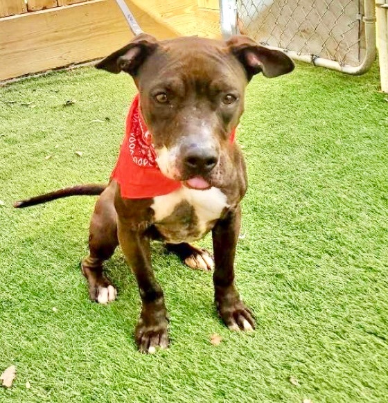 Luna Lina — thumbnail 5