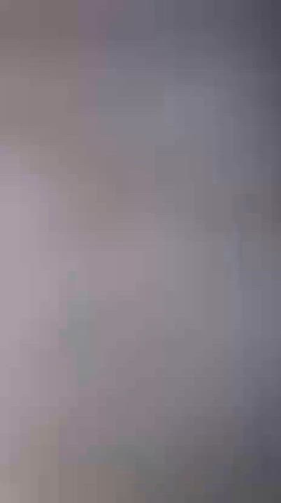 Enlarge Jaden, an adopted Siberian in New York, NY video 5/5