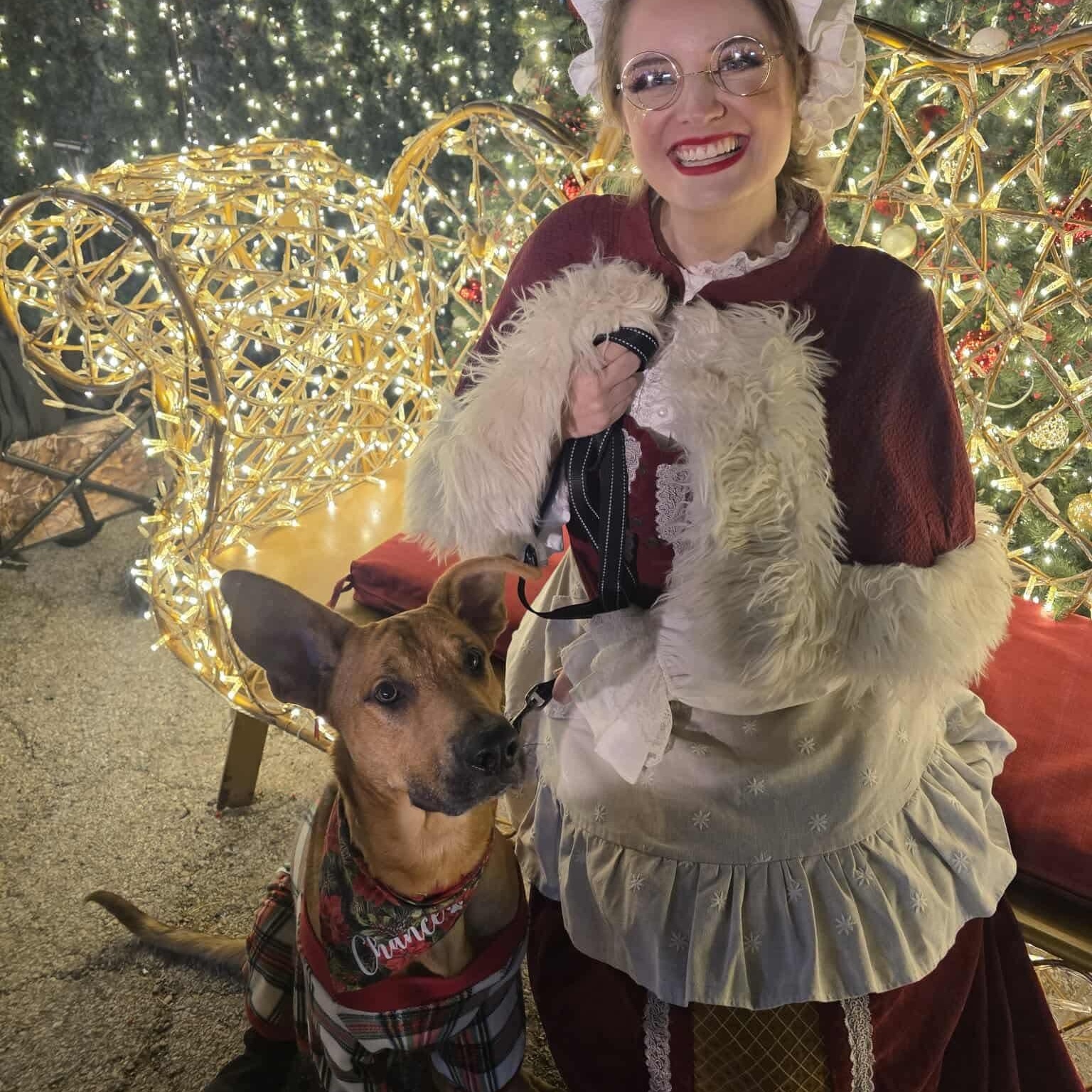 Chance — thumbnail 3