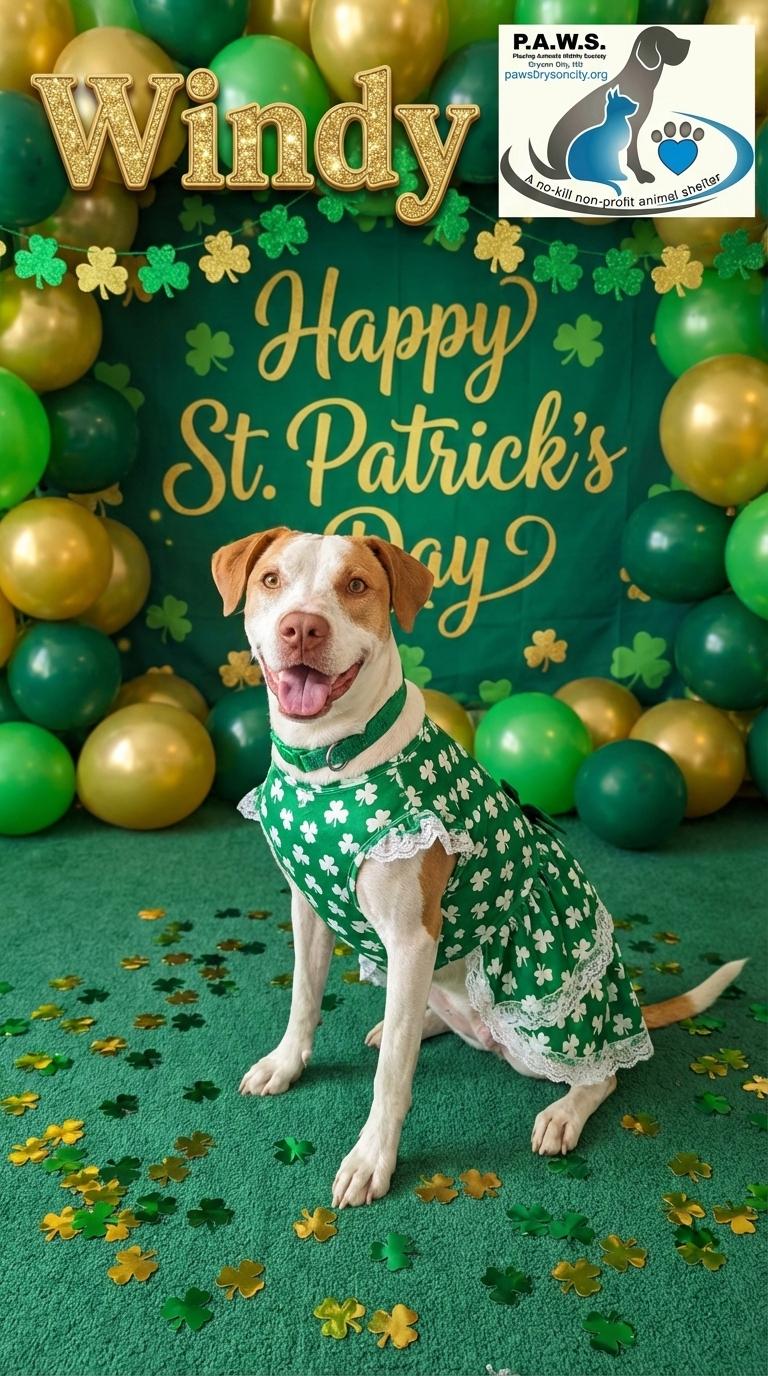 Windy — thumbnail 5