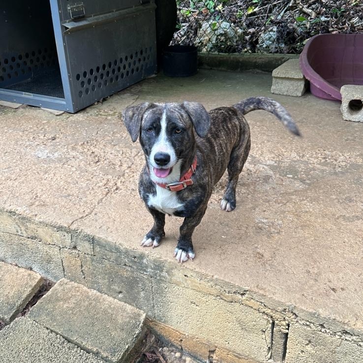 Lola Faith "i Believe thumbnail 3