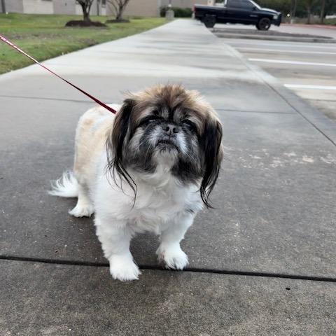 Charlotte — thumbnail 2