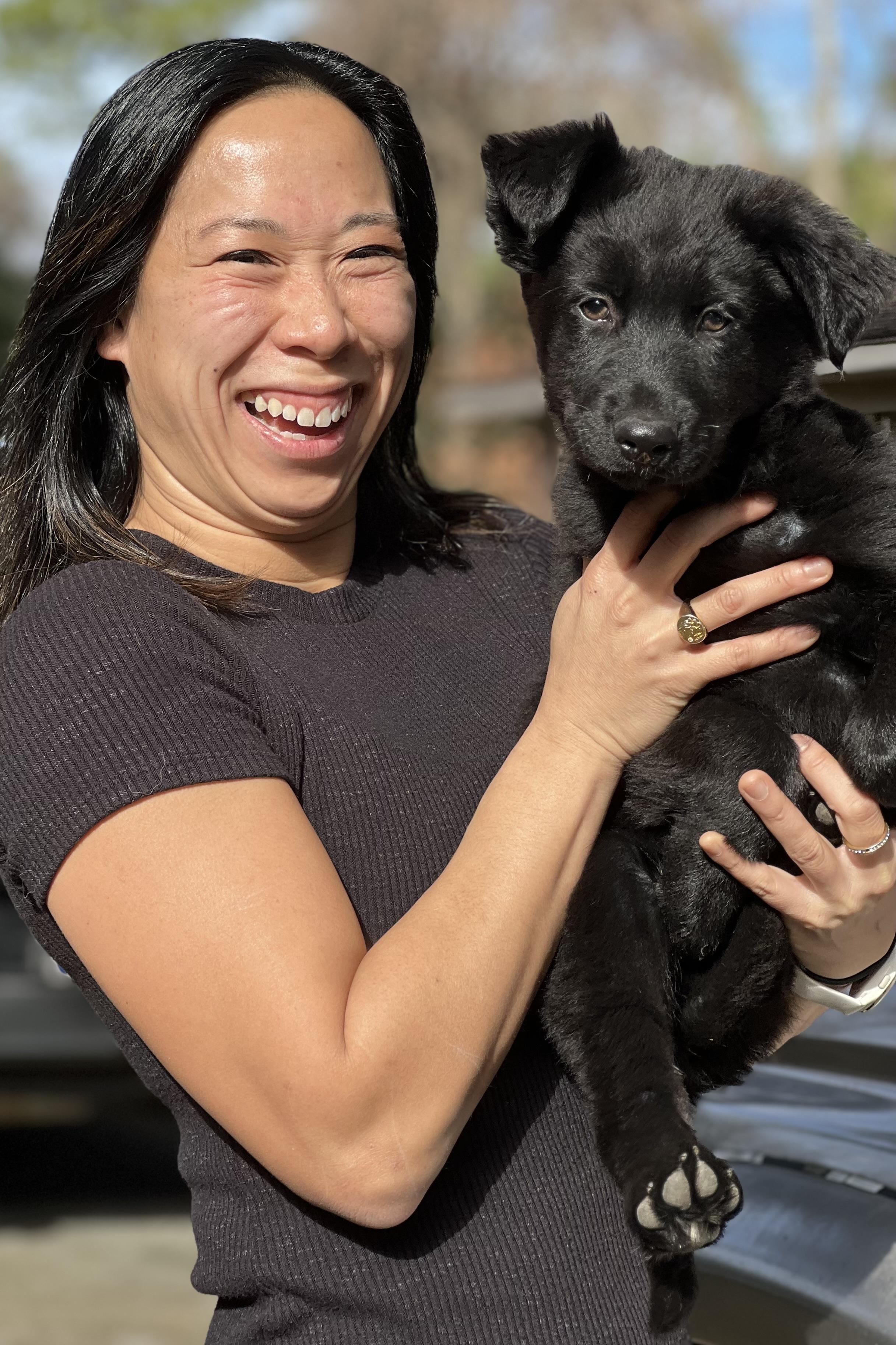 Enlarge Norman, a ADOPTABLE mixed breed in Mt Pleasant, SC image 6/6