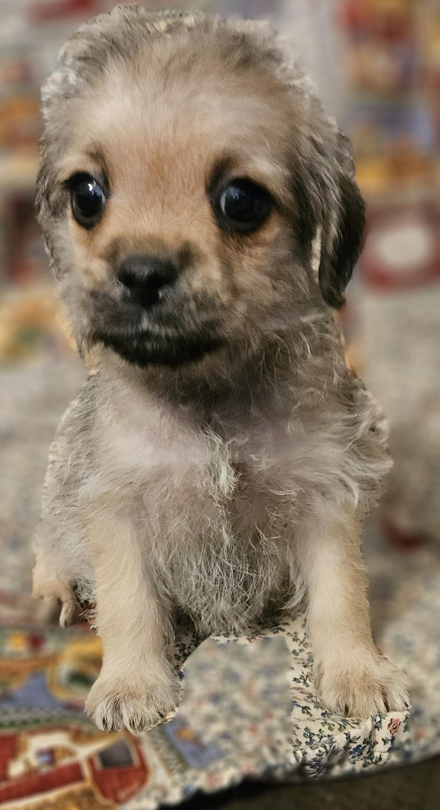 Lilly photo 4