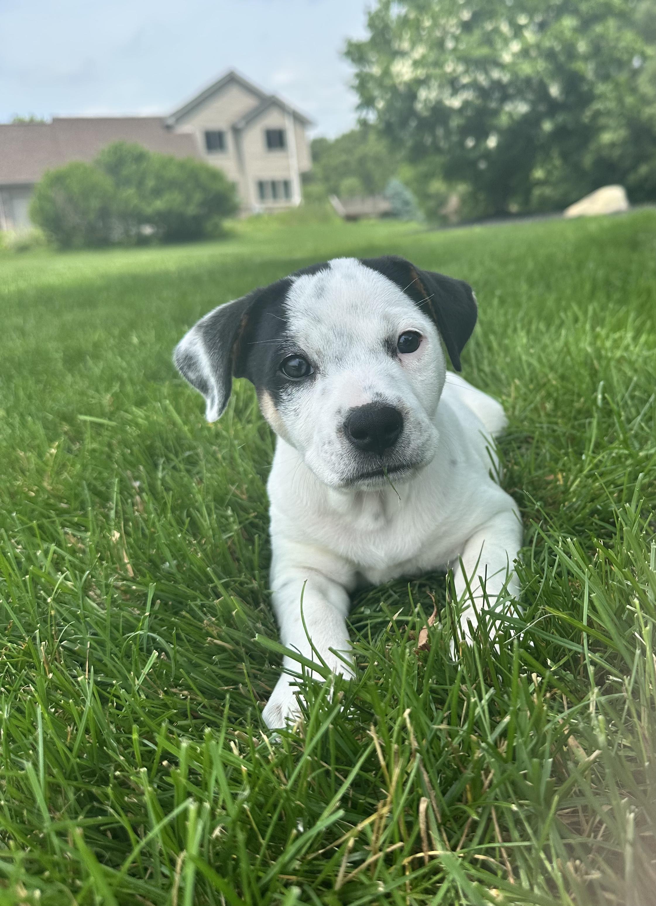 Snookie, Baby Female unknown