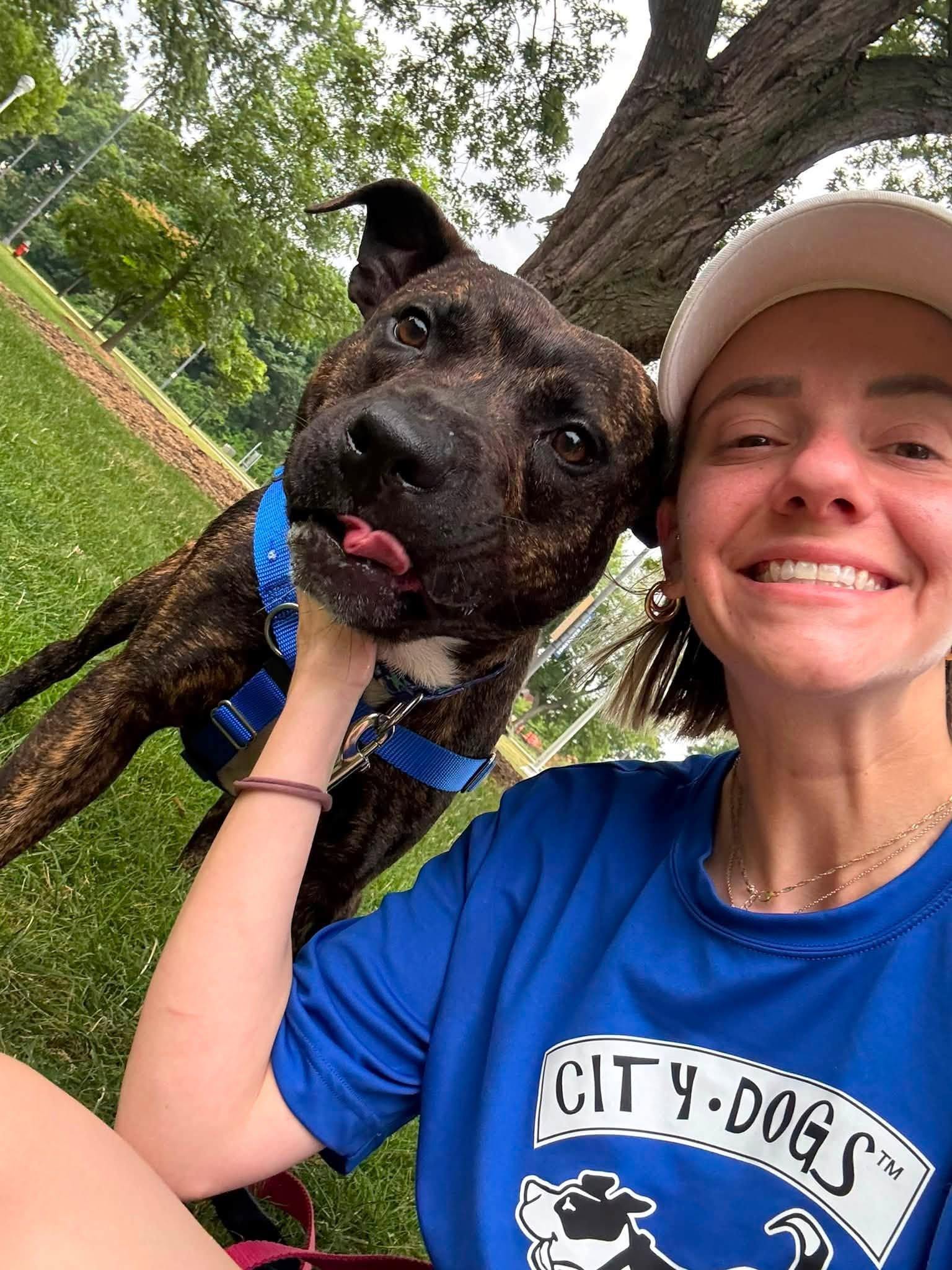 Beckham, an adoptable mixed breed in Cleveland, OH image 6/6