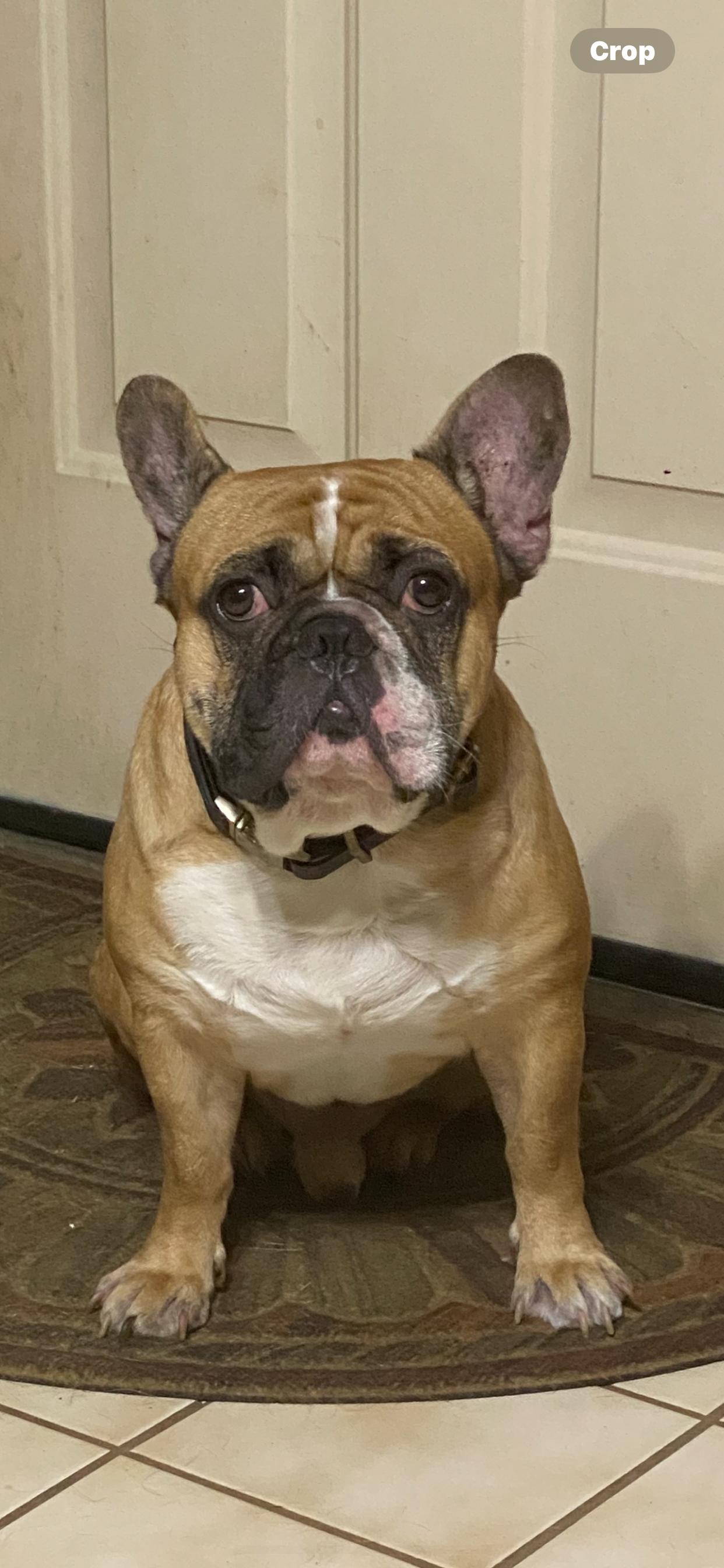 Astro 4