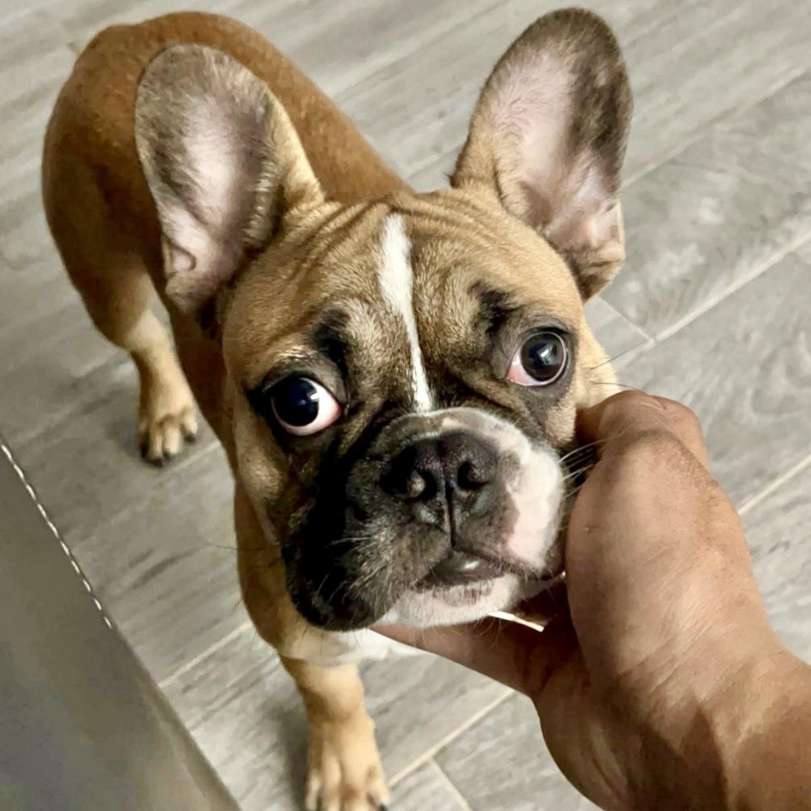Astro