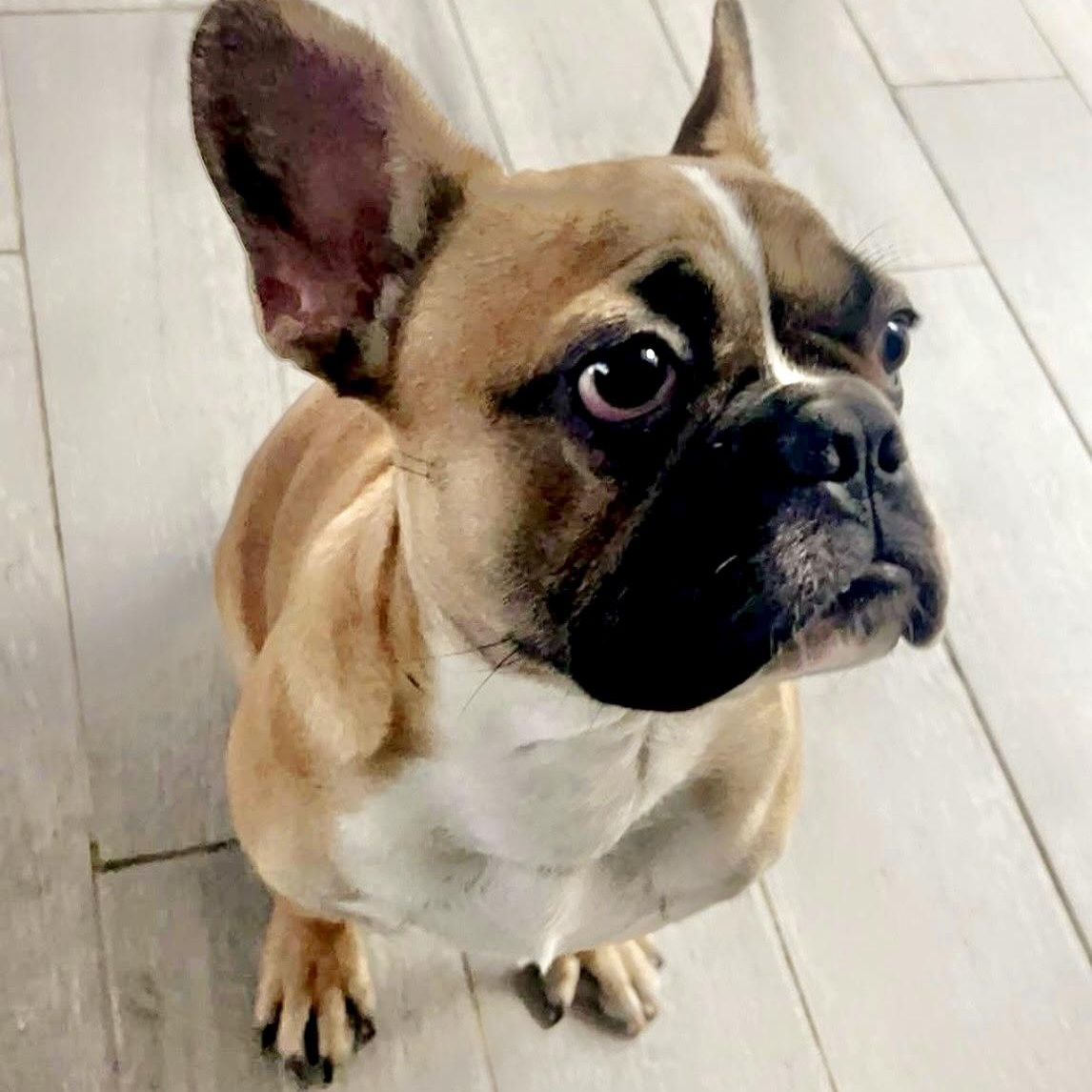 Astro 3