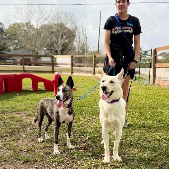 Nira K Pop Homebody — thumbnail 2