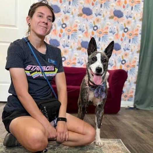 Nira K Pop Homebody — thumbnail 3