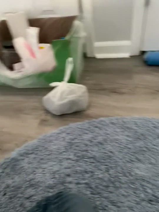 Enlarge Loverboy, a Adopted mixed breed in Seaford, DE video 3/5