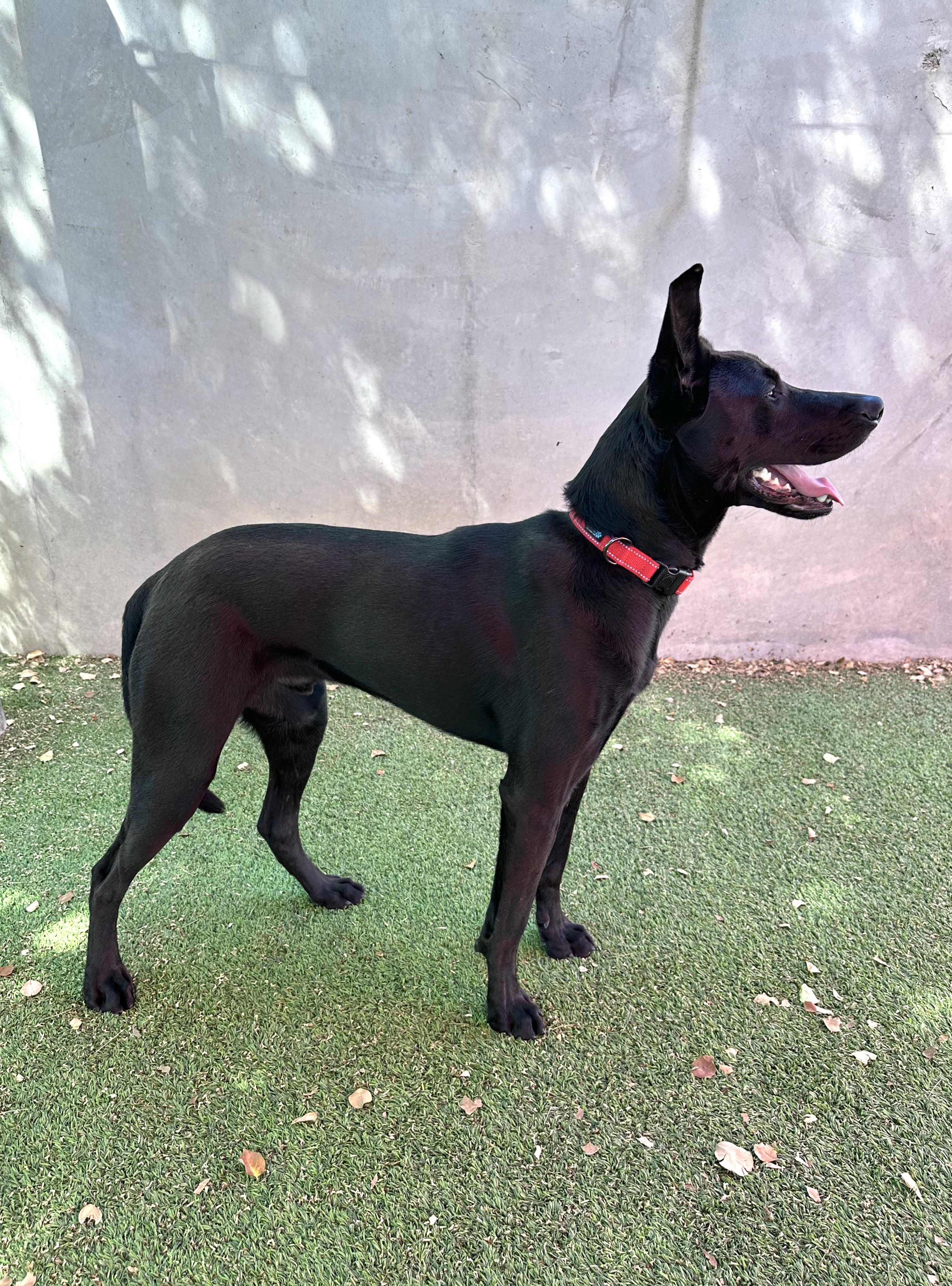 Walter photo 3