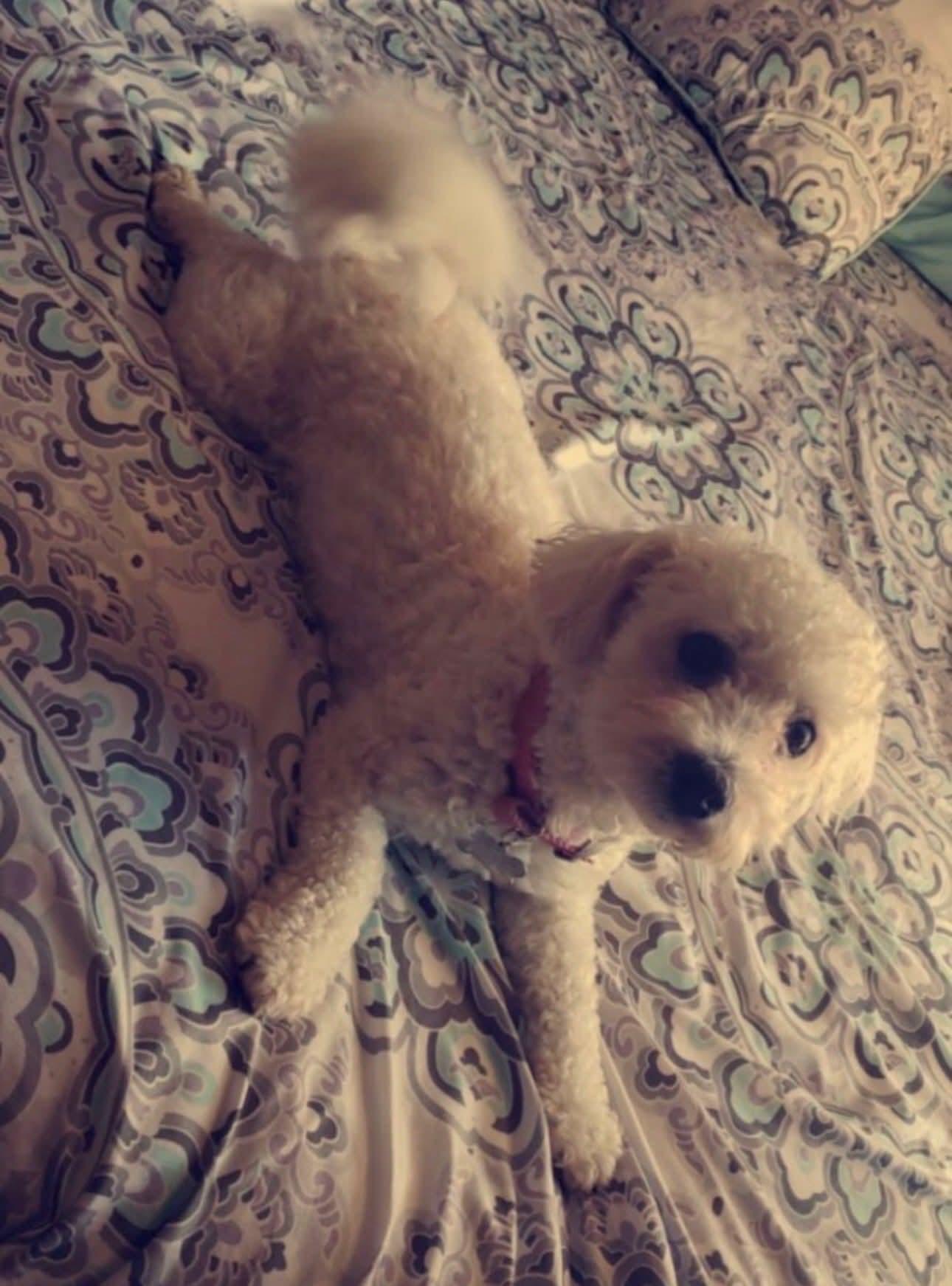 Sophia photo 1