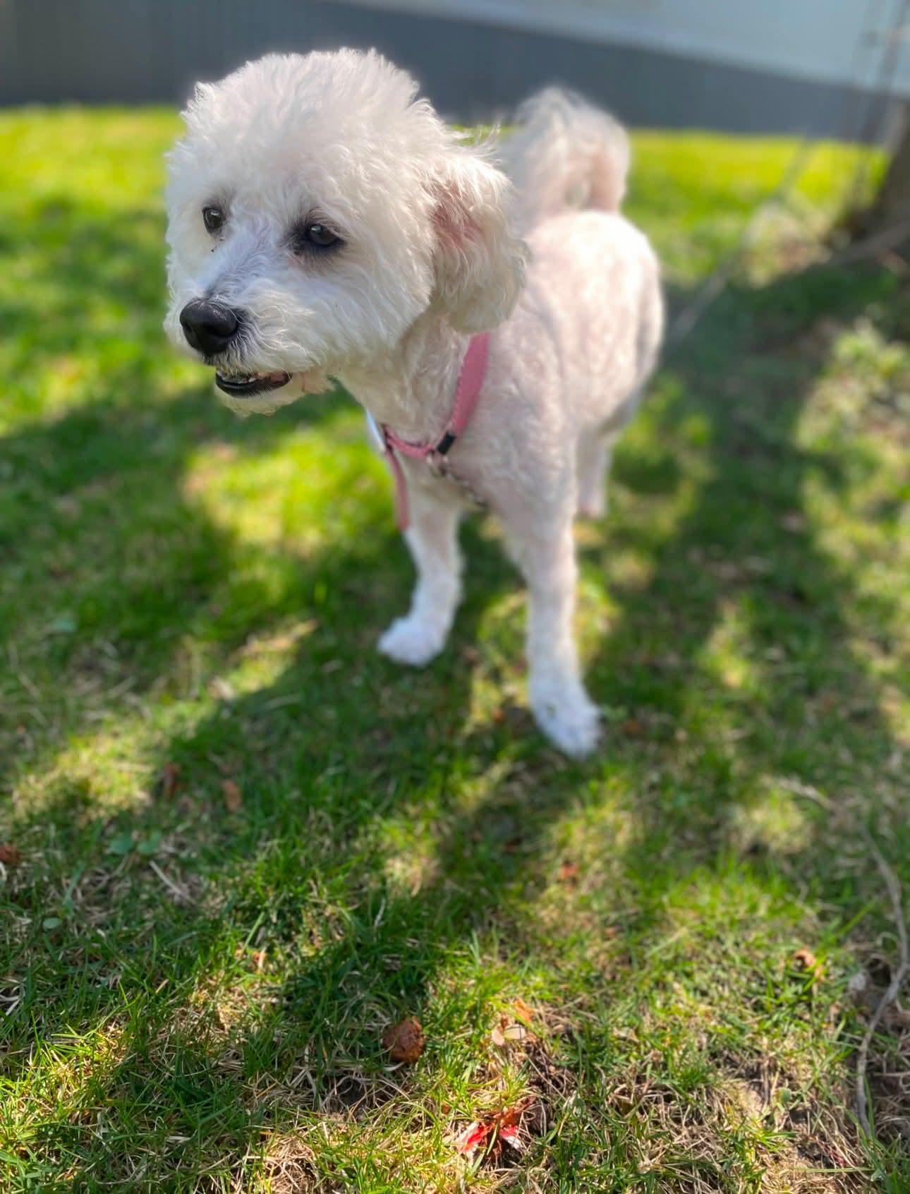Sophia photo 2