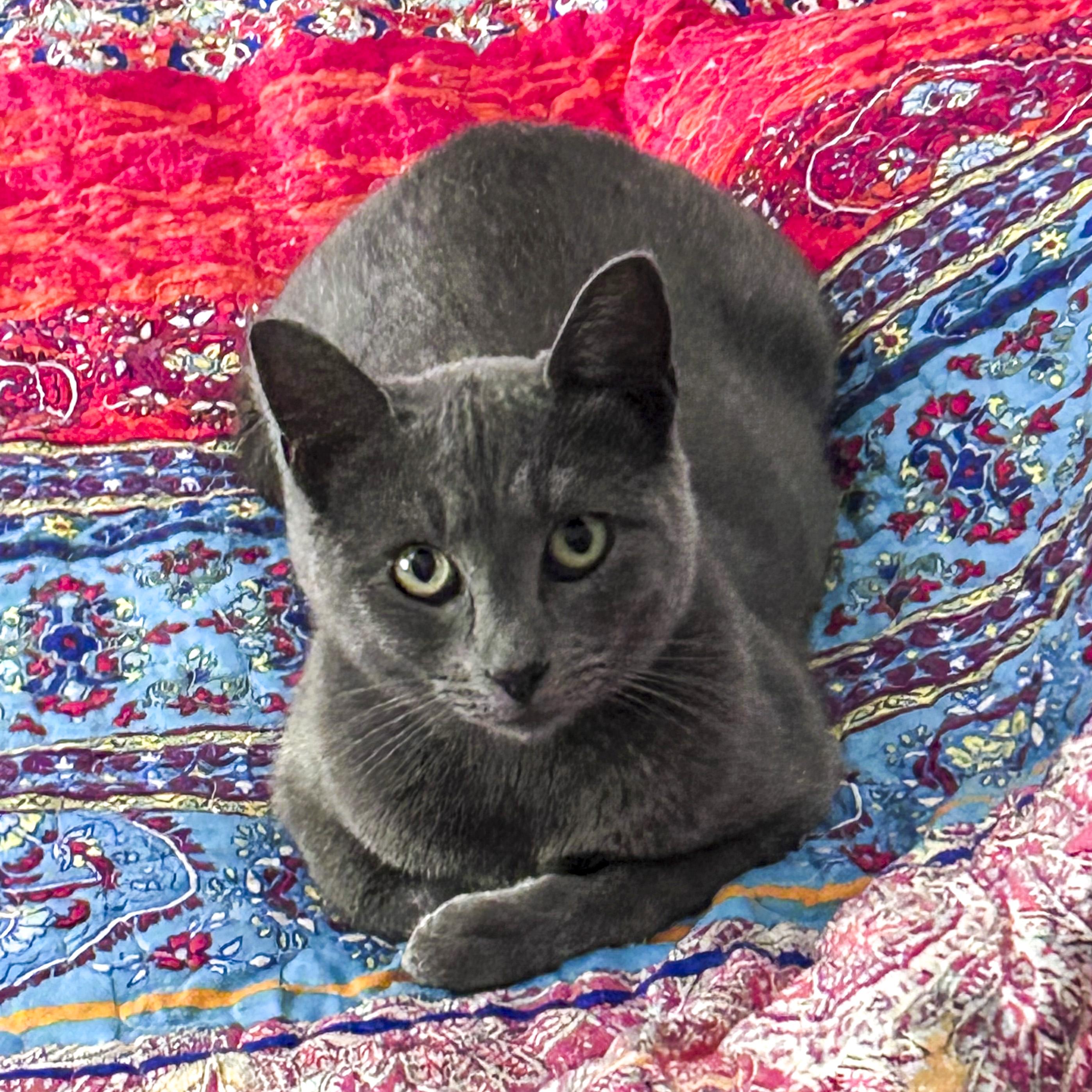 Josephine