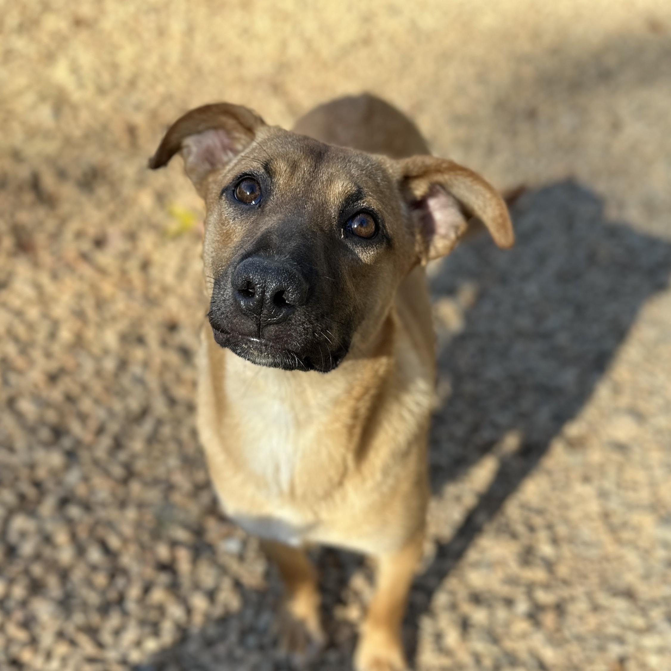 Esmeralda — thumbnail 3