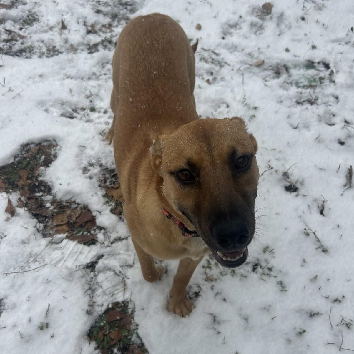 Esmeralda — thumbnail 5