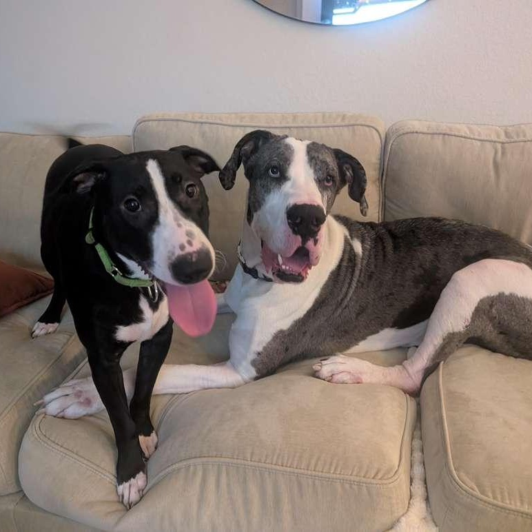 Hugh — thumbnail 4