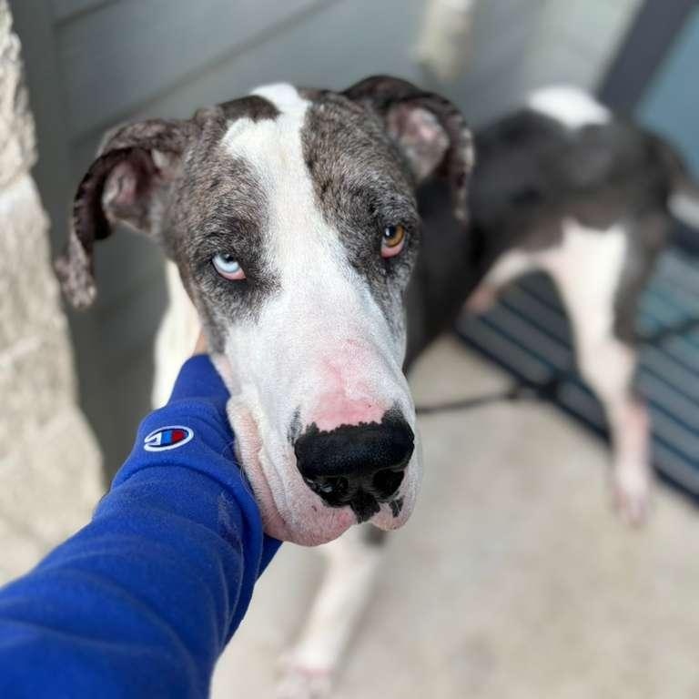 Hugh — thumbnail 5