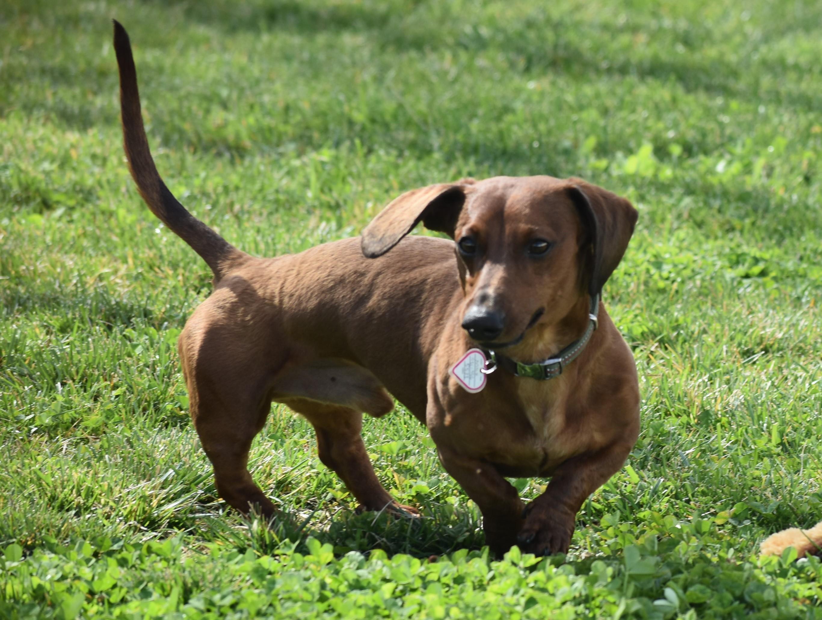 Max in VA photo 3