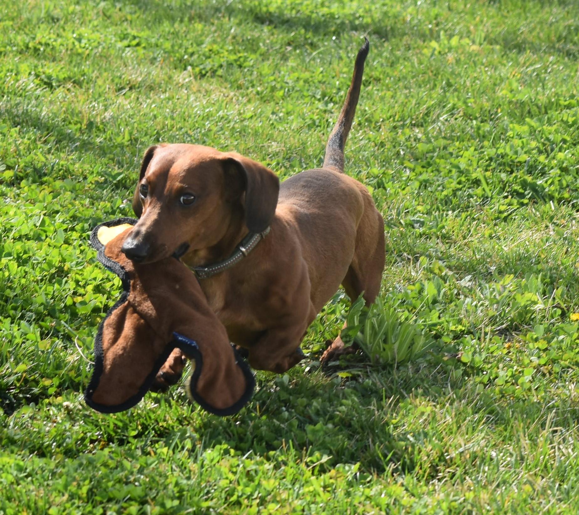 Max in VA photo 2