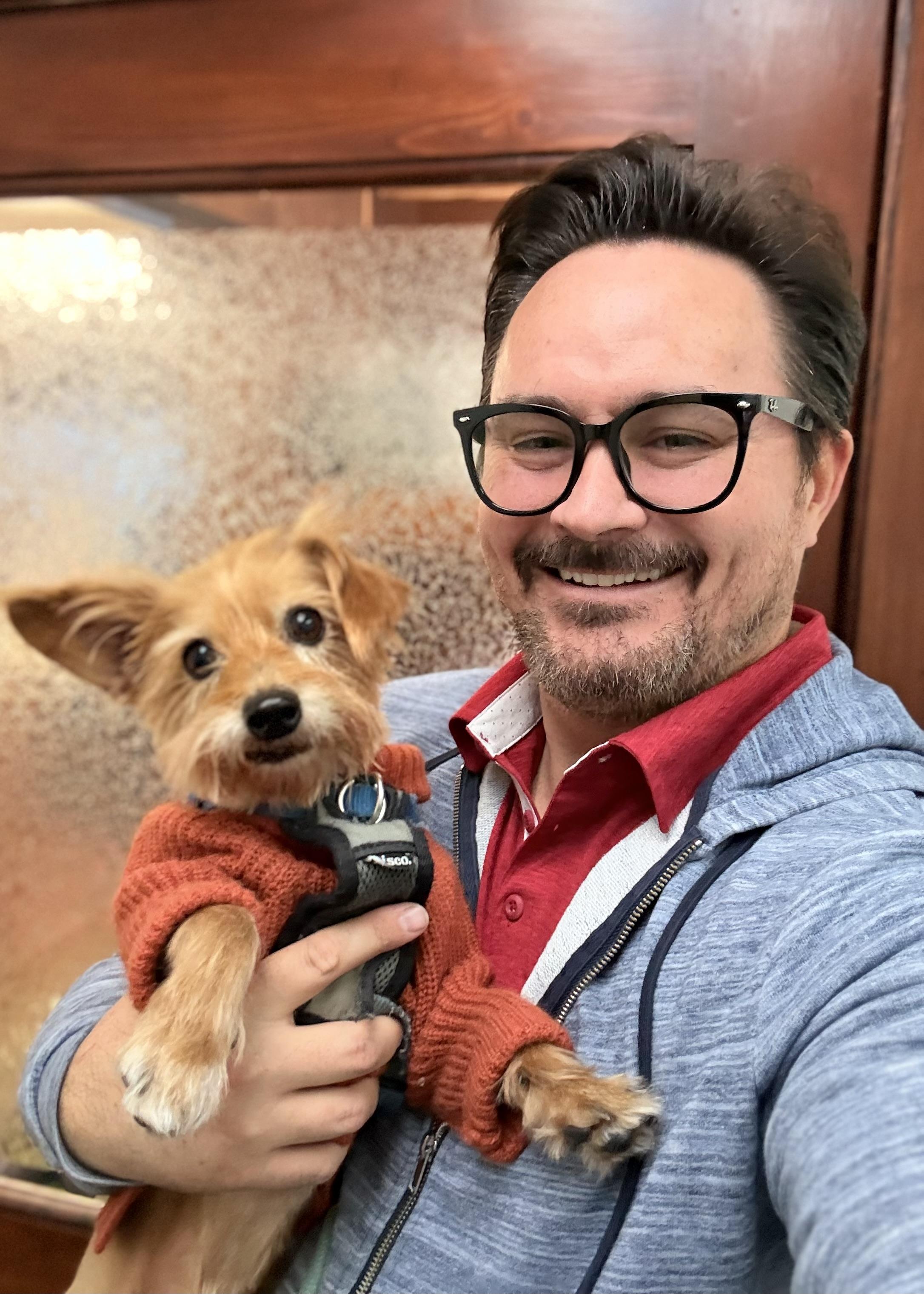 Enlarge Milano, a ADOPTABLE Yorkshire Terrier in Thousand Oaks, CA image 6/6