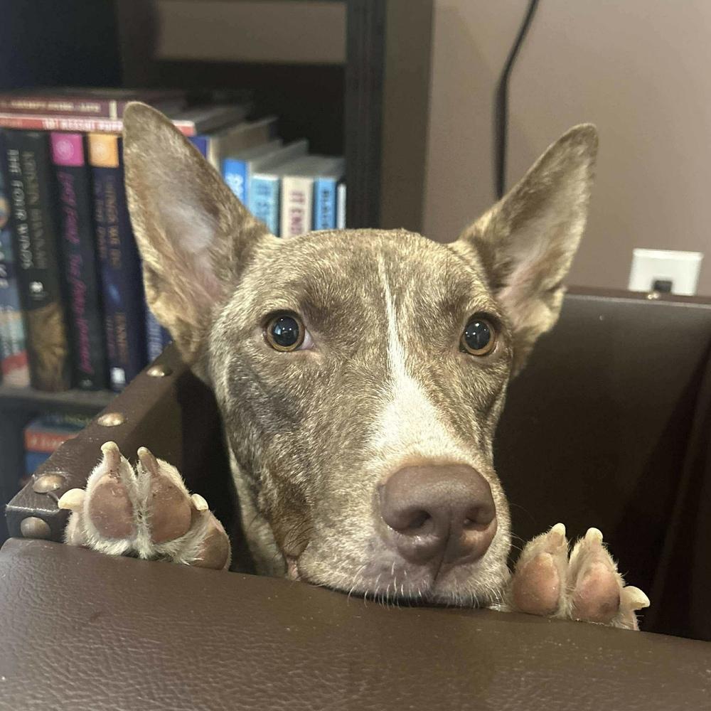 Lily Luz thumbnail 2