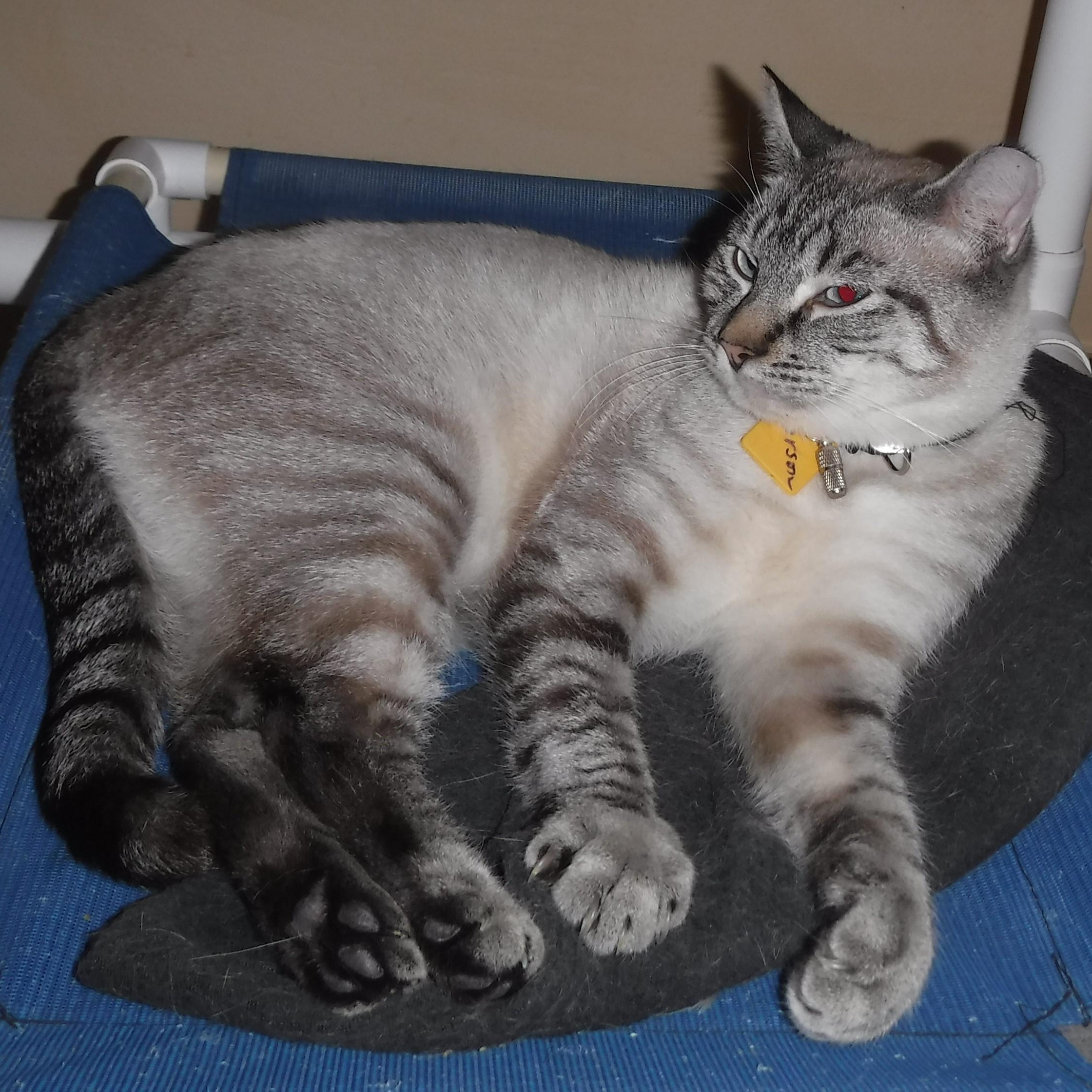 Carson Sweet And photo 1