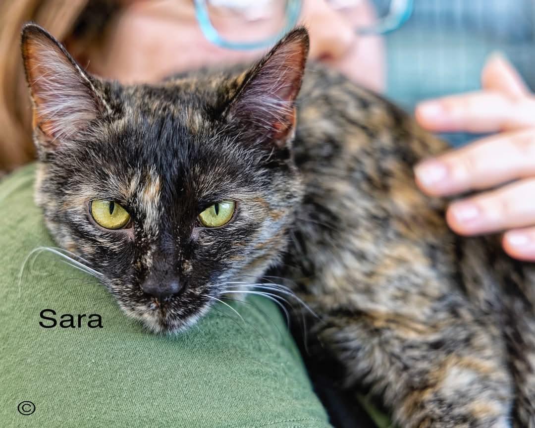 Sara