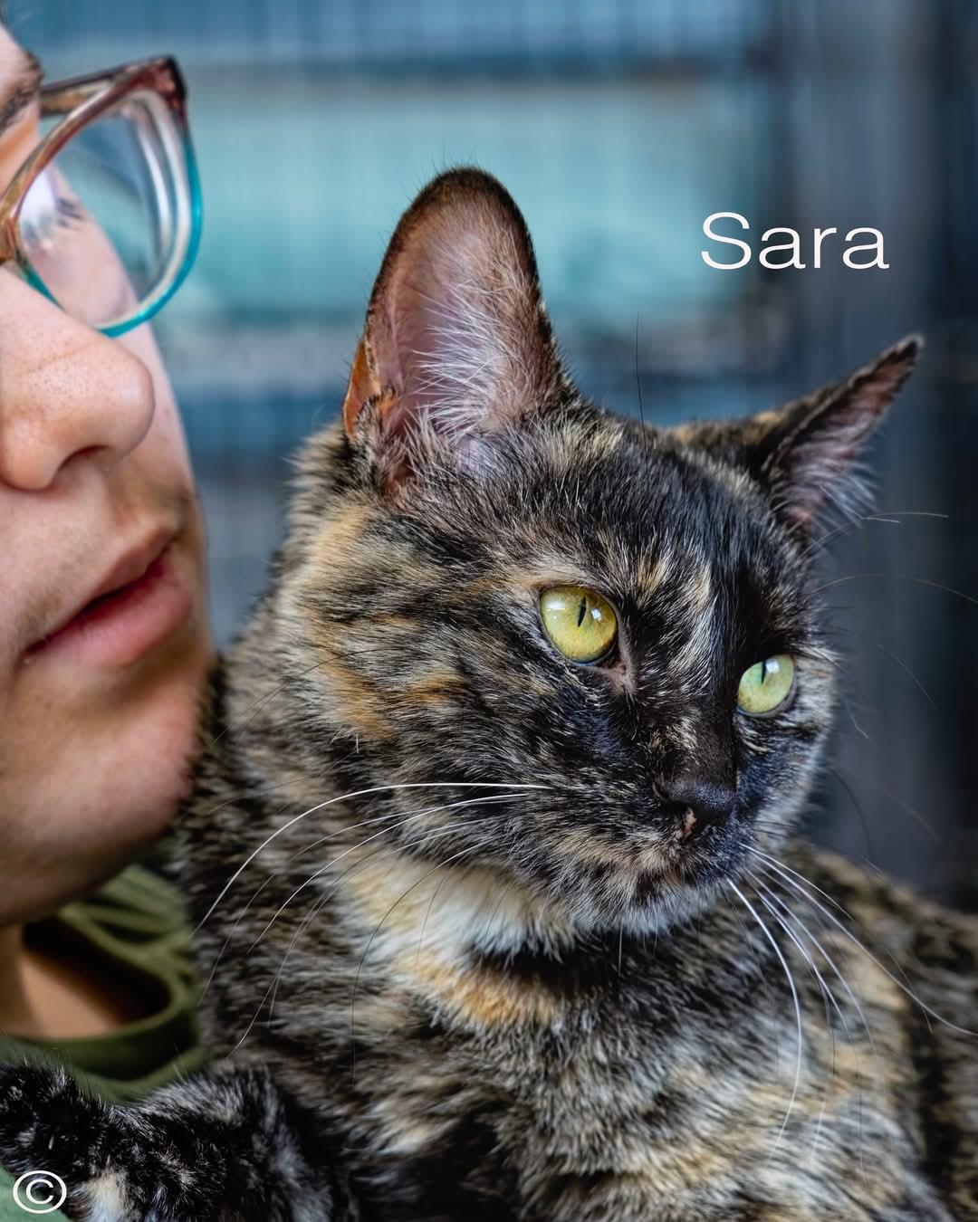 Sara
