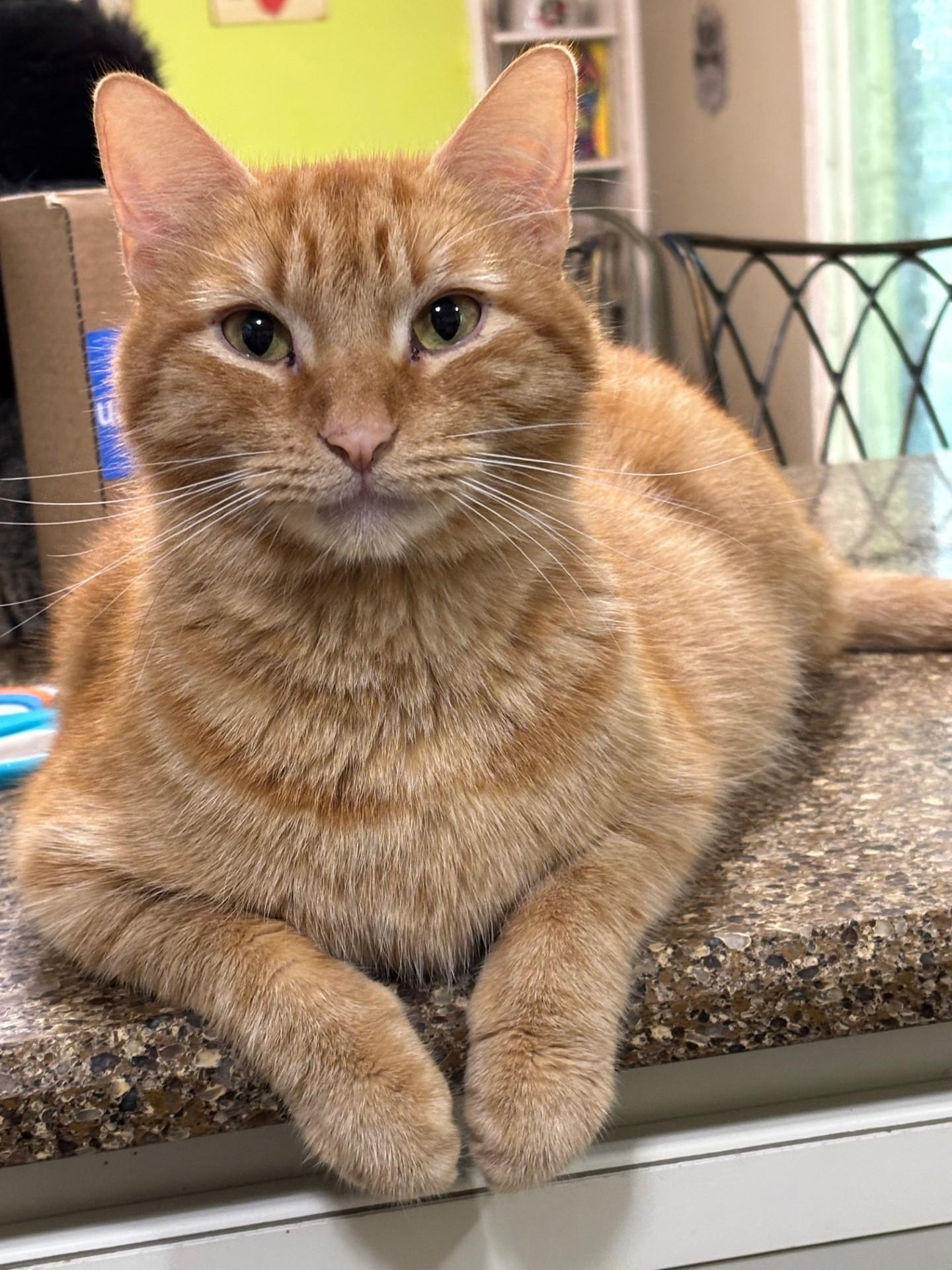 Archie