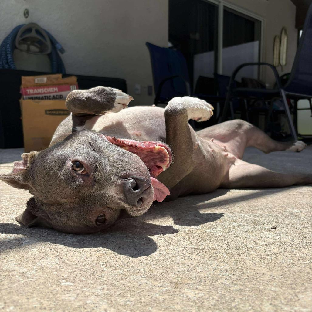 Loretta — thumbnail 3