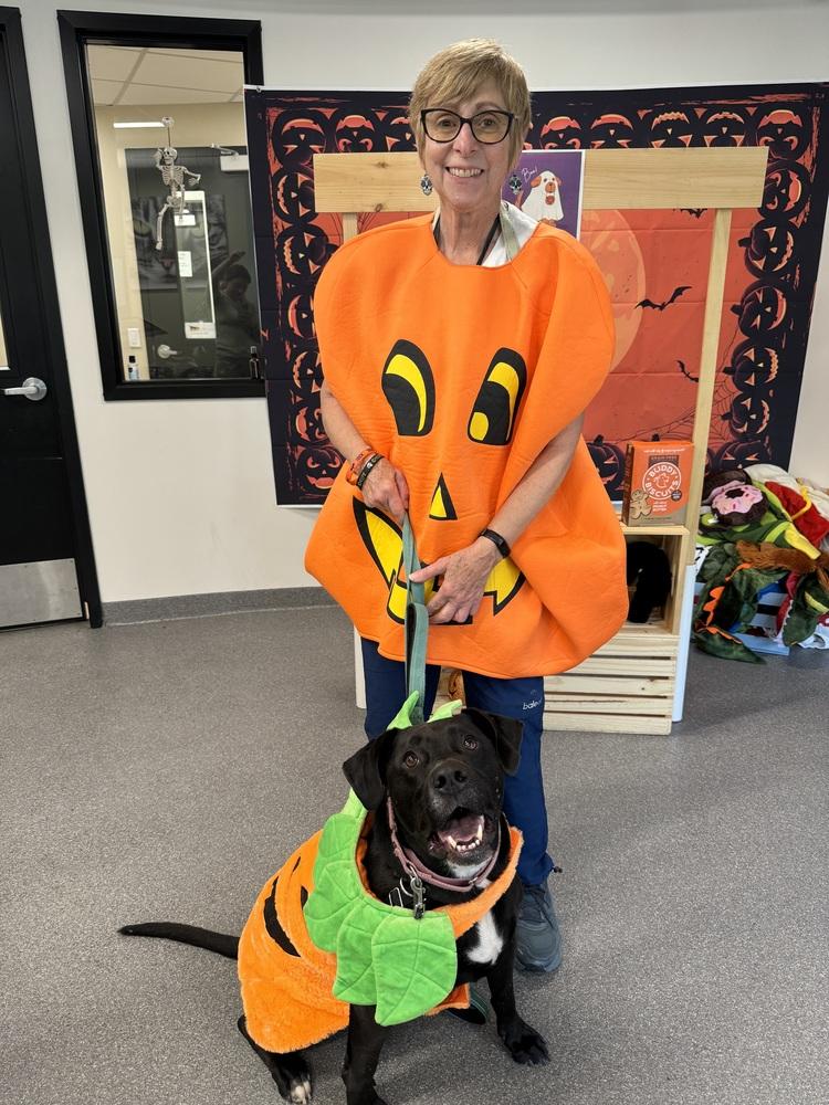 Bagheera thumbnail 2