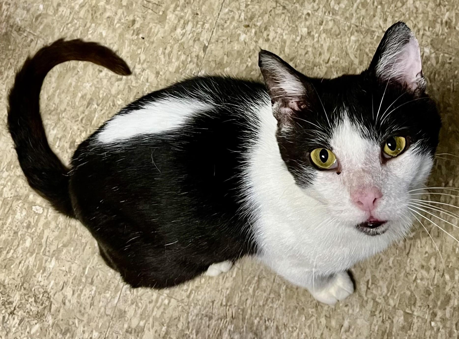 Mateo — thumbnail 6