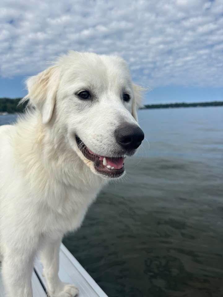 Molly