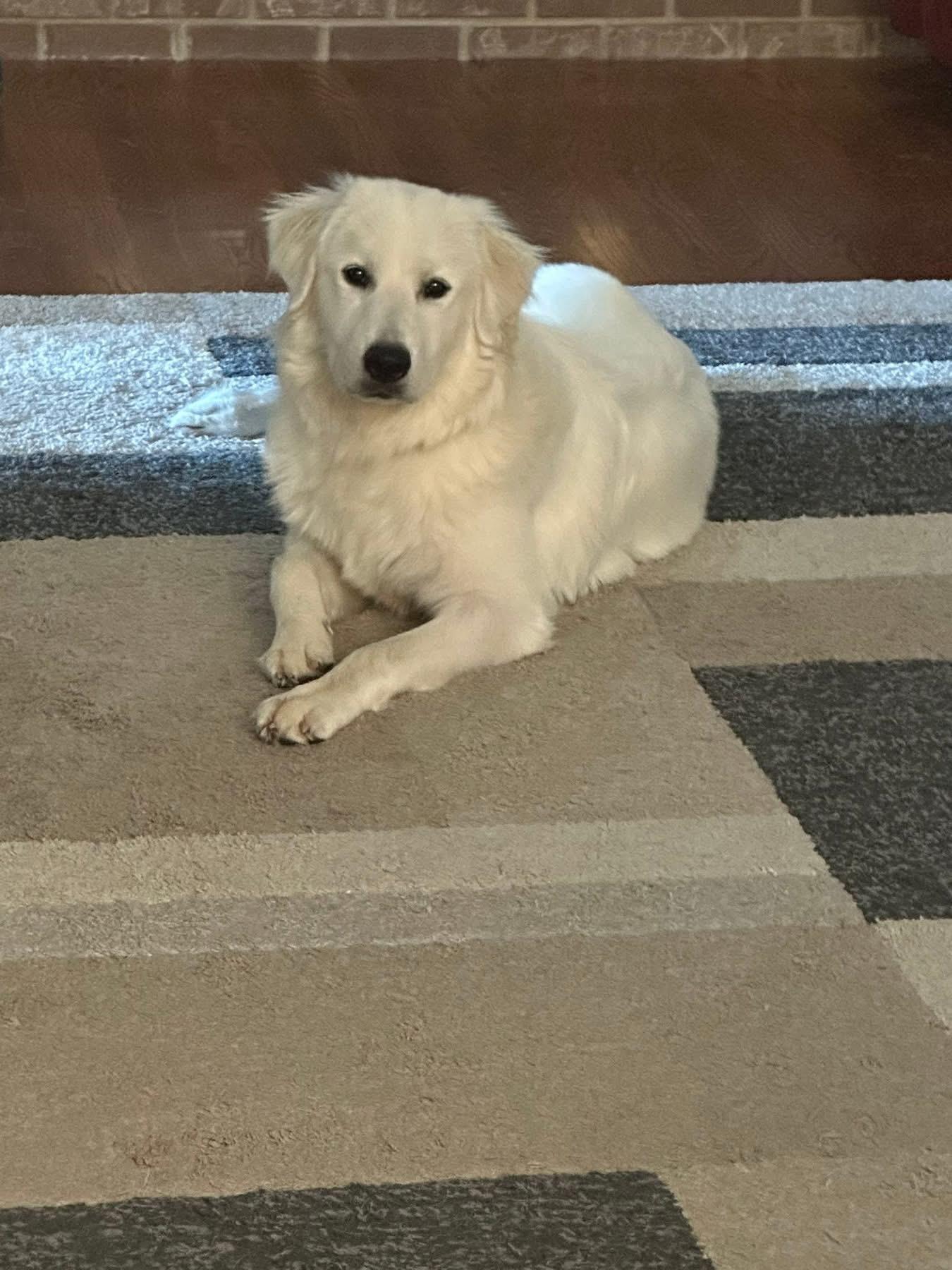 Molly