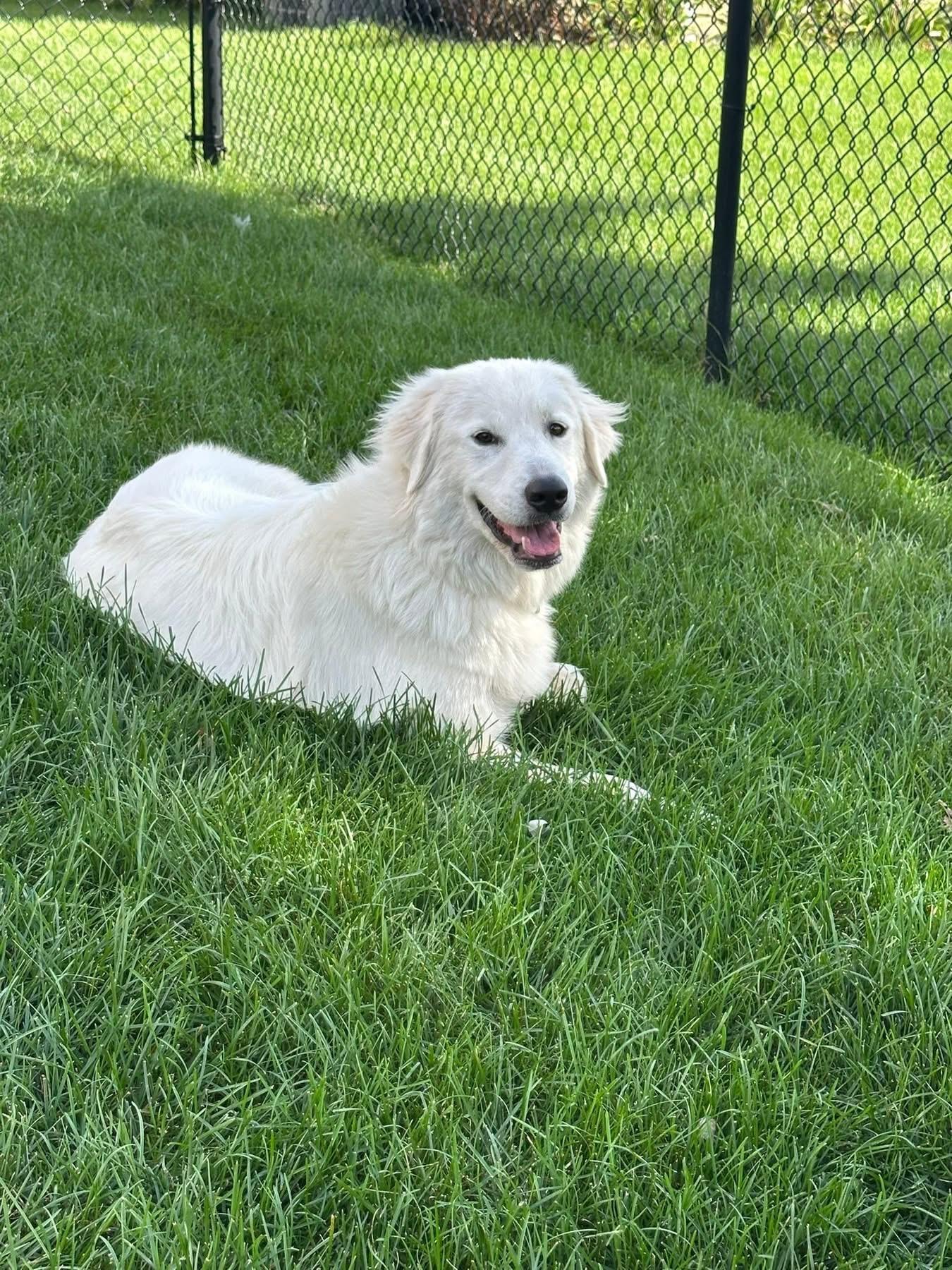 Molly