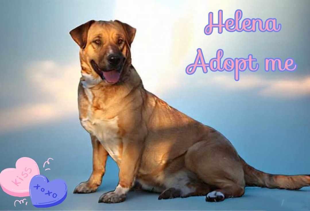 Helena