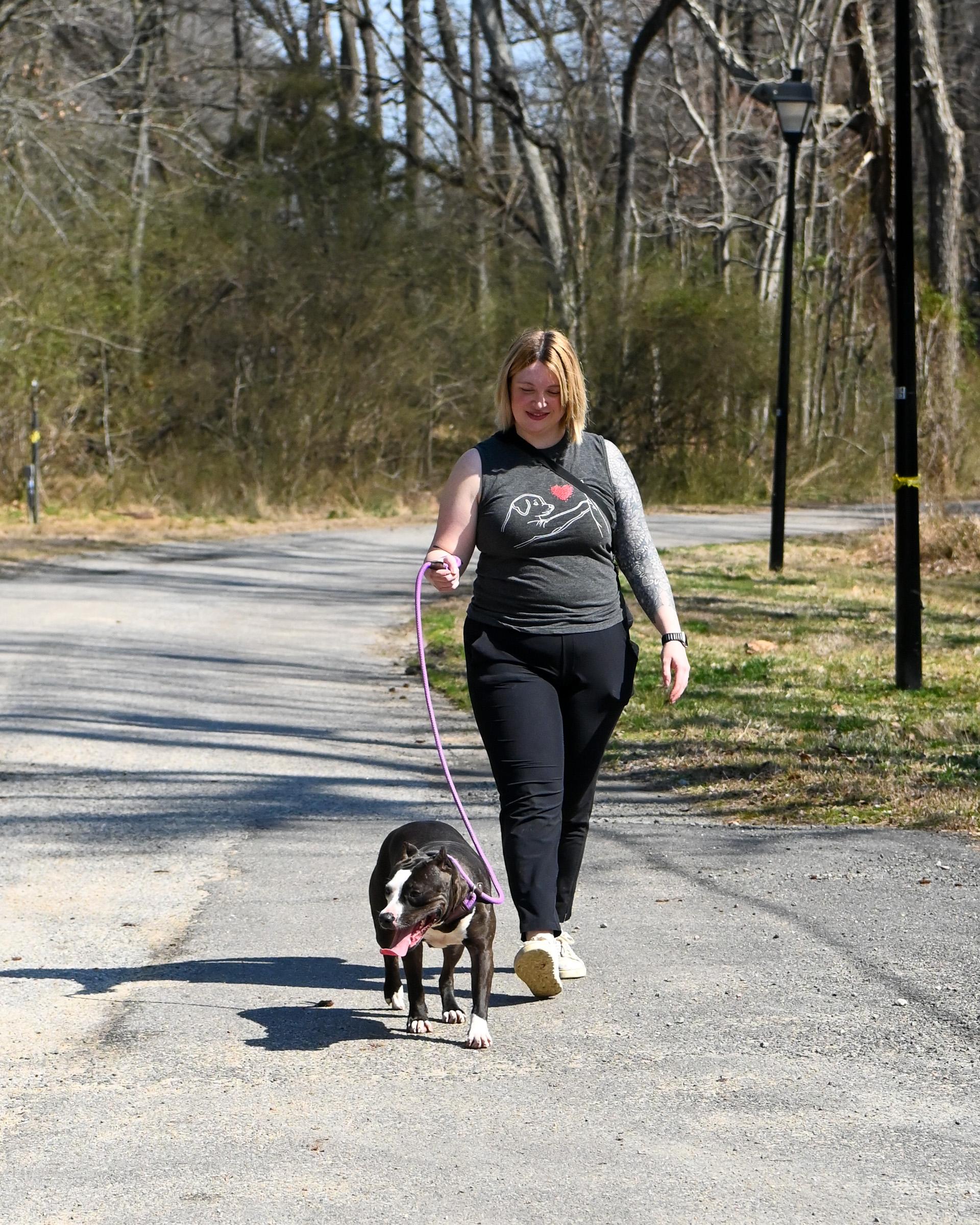 Enlarge Amber, a Adoptable mixed breed in Petersburg, VA image 4/6