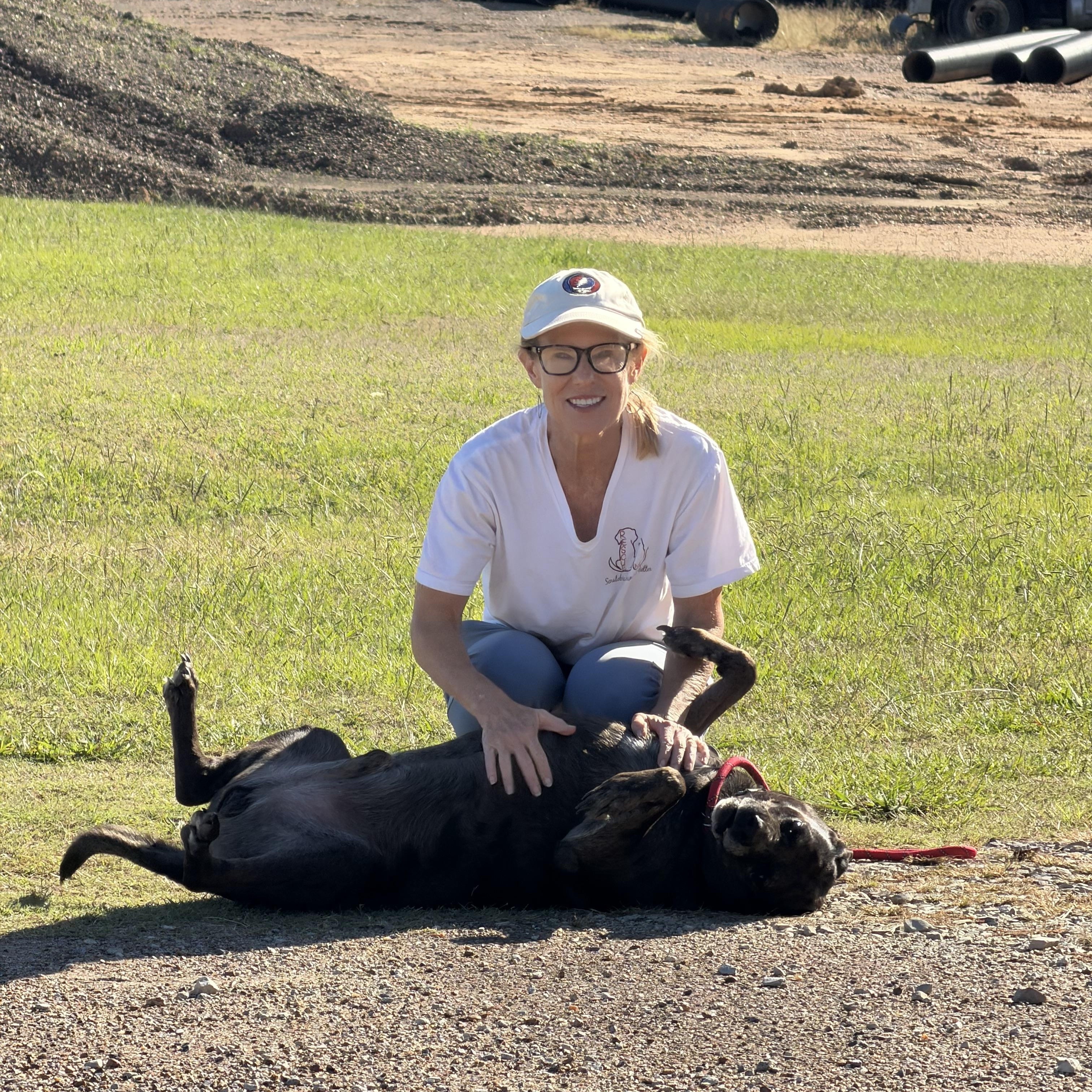 Angus, a Adoptable mixed breed in Senatobia, MS image 2/5
