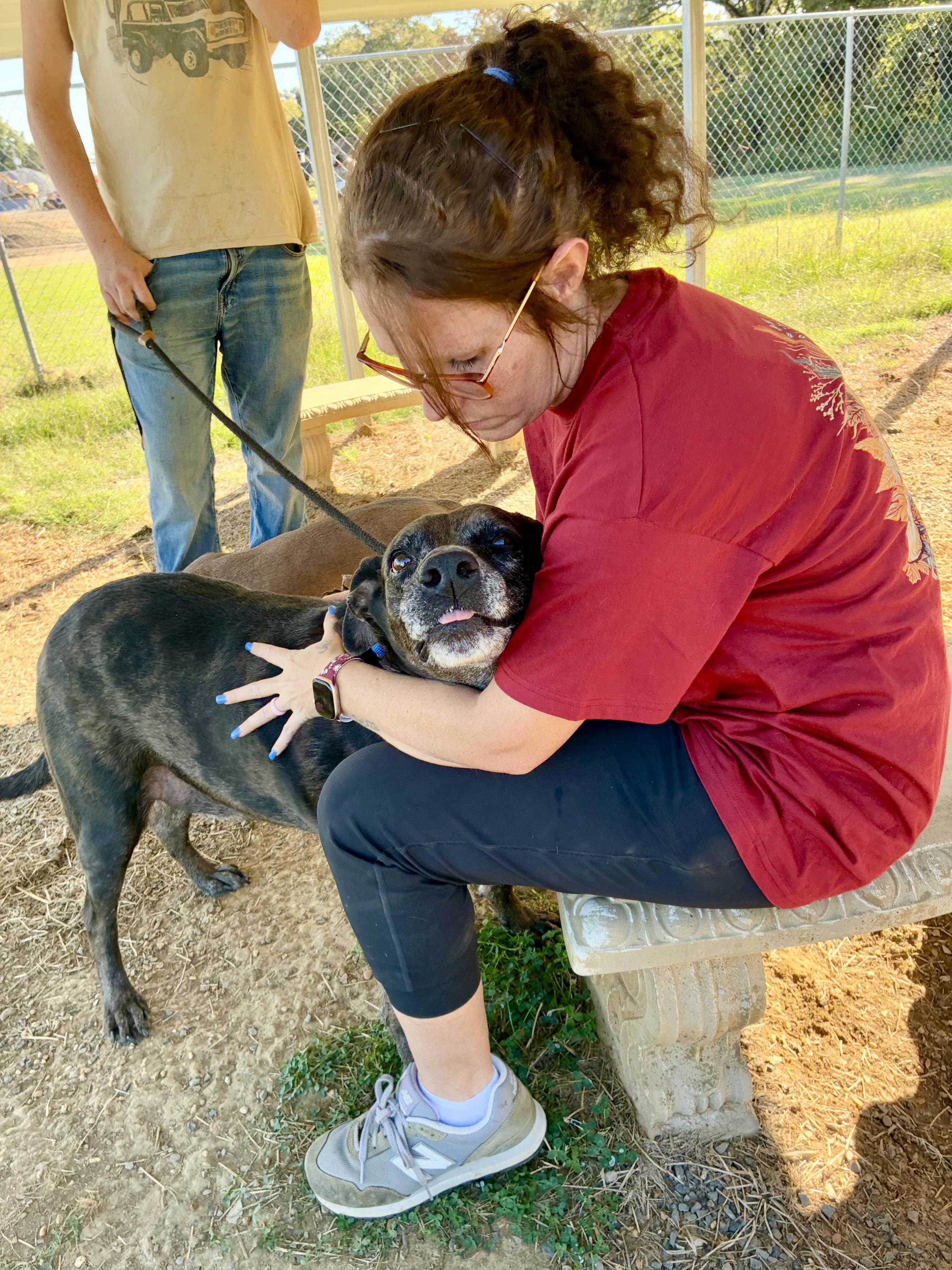 Angus, a Adoptable mixed breed in Senatobia, MS image 3/5