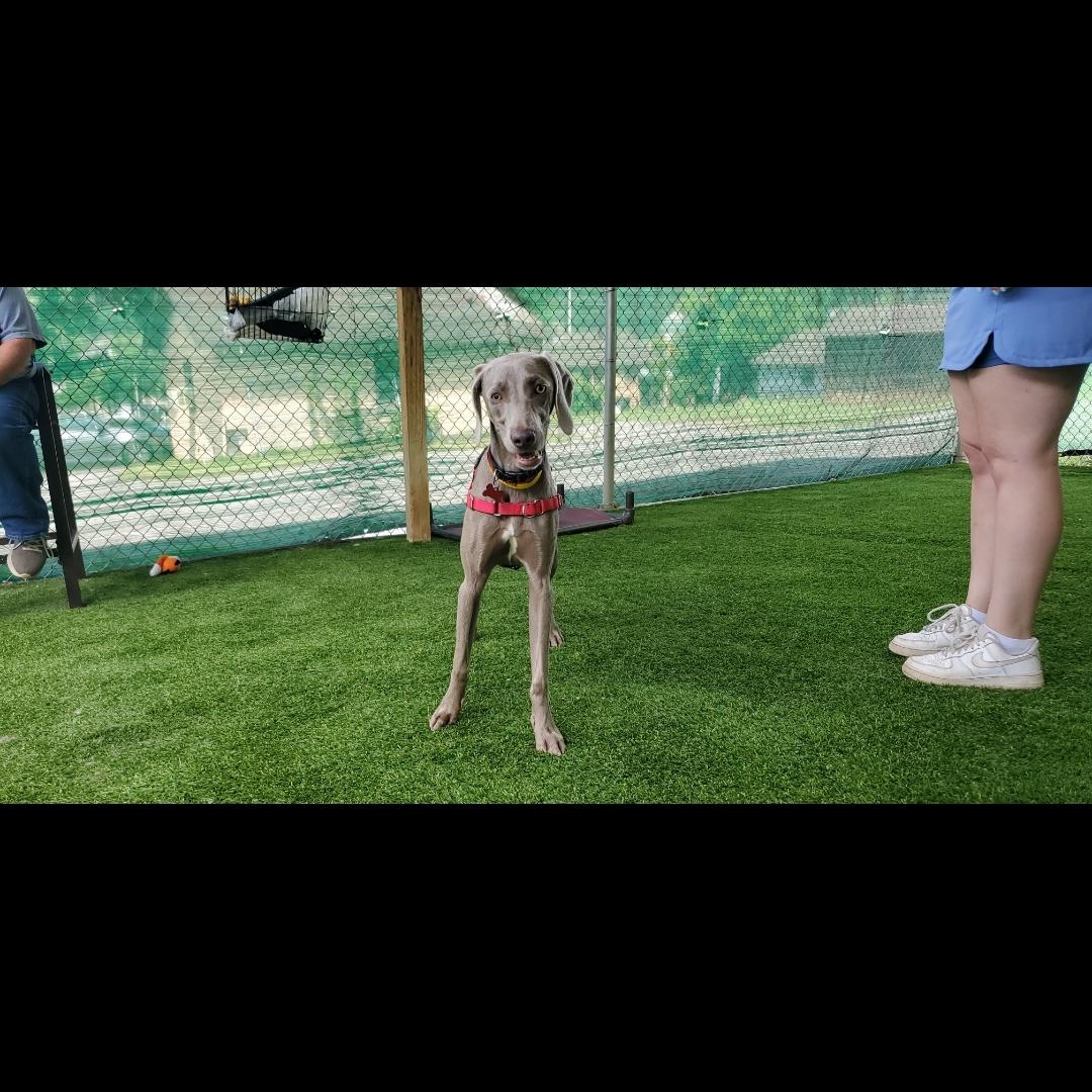 Allie thumbnail 6