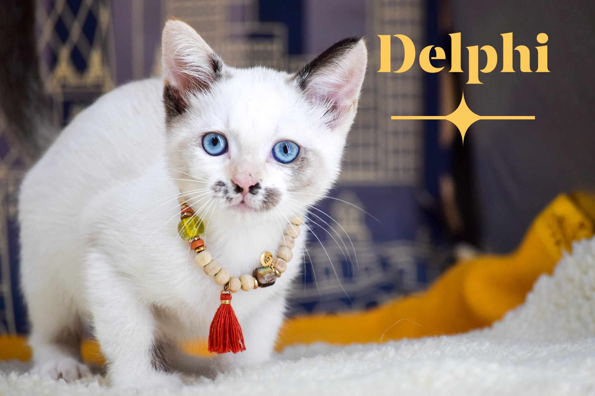 Delphi