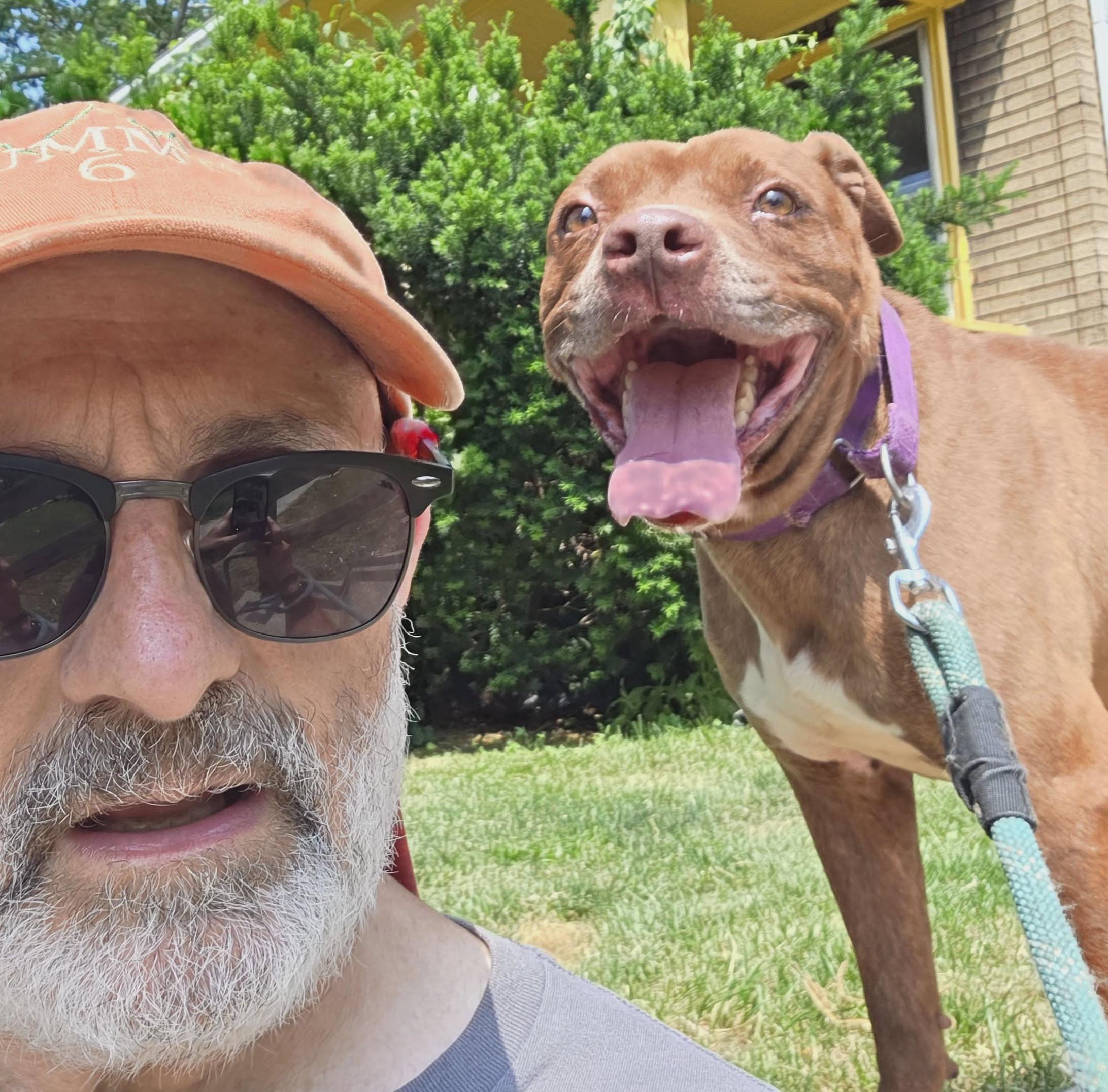Enlarge Thunder: Adopt or Forever Foster, a Adoptable mixed breed in Rochester, NY image 3/6