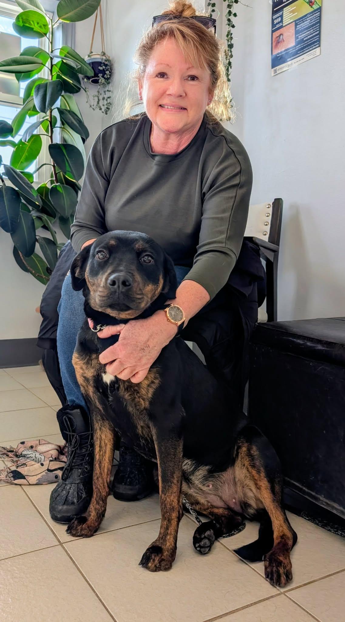 Enlarge Matilda, an adopted mixed breed in St Catharines, ON image 3/6